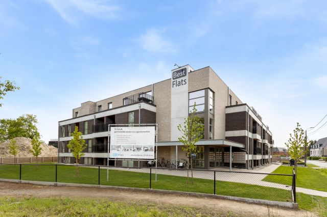 WEB Best Flats Geel 75